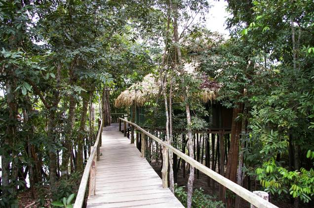 <a href="https://viajeaqui.abril.com.br/cidades/br-am-manaus/onde-ficar/hospedagem-na-selva" rel="Hotel de selva na Amazônia" target="_blank"><strong>Hotel de selva na Amazônia</strong></a>Passeio de canoa, focagem de jacarés, pesca de piranhas e caminhadas na floresta integram o pacote de três noites no <a href="https://viajeaqui.abril.com.br/estabelecimentos/br-am-manaus-hospedagem-juma-lodge/" rel="Amazon Juma Lodge" target="_blank">Amazon Juma Lodge</a> (foto), all-inclusive que entretém a gurizada em clima de aventura na natureza. Inclui traslados.<strong>Quando:</strong> em 22 de janeiro<strong>Quem leva:</strong> <a href="https://pisa.tur.br/" rel="Pisa Trekking" target="_blank">Pisa Trekking</a><strong>Quanto:</strong> R$ 3463 (crianças de até 5 anos no quarto dos pais, grátis nohotel, mas pagam o aéreo; de 6 a 10anos, R$ 2003 por todo o pacote) <a href="https://viajeaqui.abril.com.br/cidades/br-am-manaus/onde-ficar/hospedagem-na-selva" rel="Hotel de selva na Amazônia" target="_blank"><strong>Hotel de selva na Amazônia</strong></a>Passeio de canoa, focagem de jacarés, pesca de piranhas e caminhadas na floresta integram o pacote de três noites no <a href="https://viajeaqui.abril.com.br/estabelecimentos/br-am-manaus-hospedagem-juma-lodge/" rel="Amazon Juma Lodge" target="_blank">Amazon Juma Lodge</a> (foto), all-inclusive que entretém a gurizada em clima de aventura na natureza. Inclui traslados.<strong>Quando:</strong> em 22 de janeiro<strong>Quem leva:</strong> <a href="https://pisa.tur.br/" rel="Pisa Trekking" target="_blank">Pisa Trekking</a><strong>Quanto:</strong> R$ 3463 (crianças de até 5 anos no quarto dos pais, grátis nohotel, mas pagam o aéreo; de 6 a 10anos, R$ 2003 por todo o pacote)