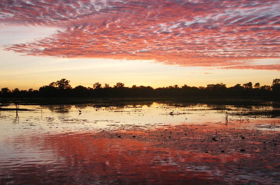 <strong><a href="https://viajeaqui.abril.com.br/estabelecimentos/australia-darwin-atracao-parque-nacional-de-kakadu" target="_blank">Kakadu</a> - <a href="https://viajeaqui.abril.com.br/paises/australia" target="_blank">Austrália </a></strong>