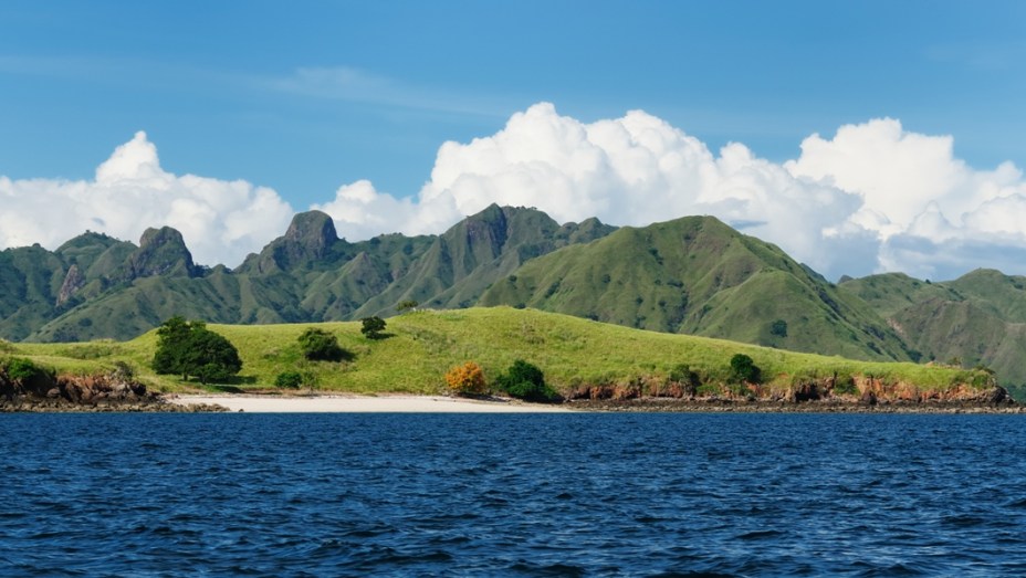 O Parque Nacional de Komodo foi criado para proteger seu mais ilustre habitante, o dragão-de-komodo, o maior lagarto do planeta. A região foi listada como patrimônio da humanidade pela Unesco