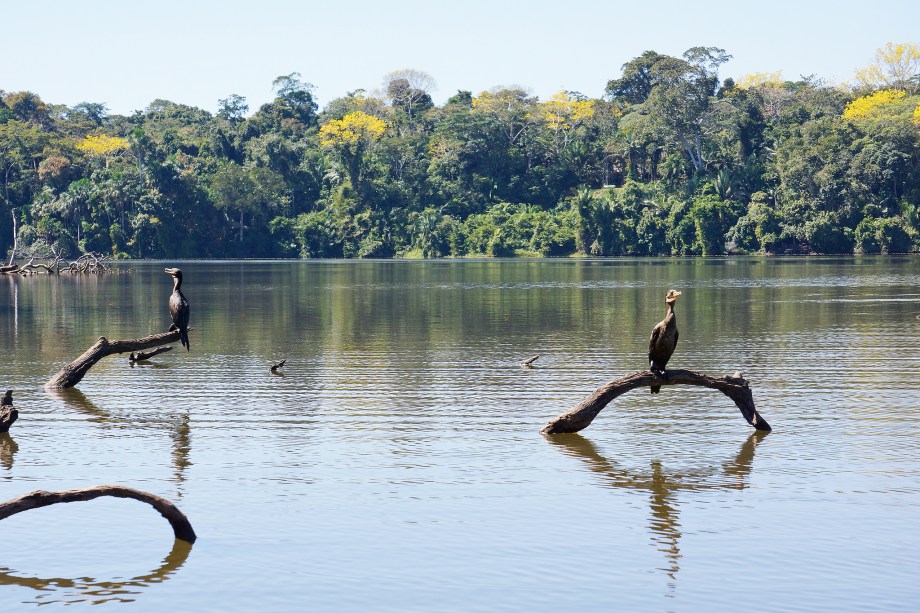 Localizado a duas horas da cidade de Puerto Maldonado, que possui pouco mais de 38 mil habitantes, o Lago Sandoval guarda diversas espécies de plantas e é marcado por uma vida selvagem, com animais crocodilos cercando a região. Suas águas claras e tranquilas ficam dentro do território da Reserva Nacional Tambopata, criada em setembro de 2000 e com uma extensão de mais de 274 mil hectares