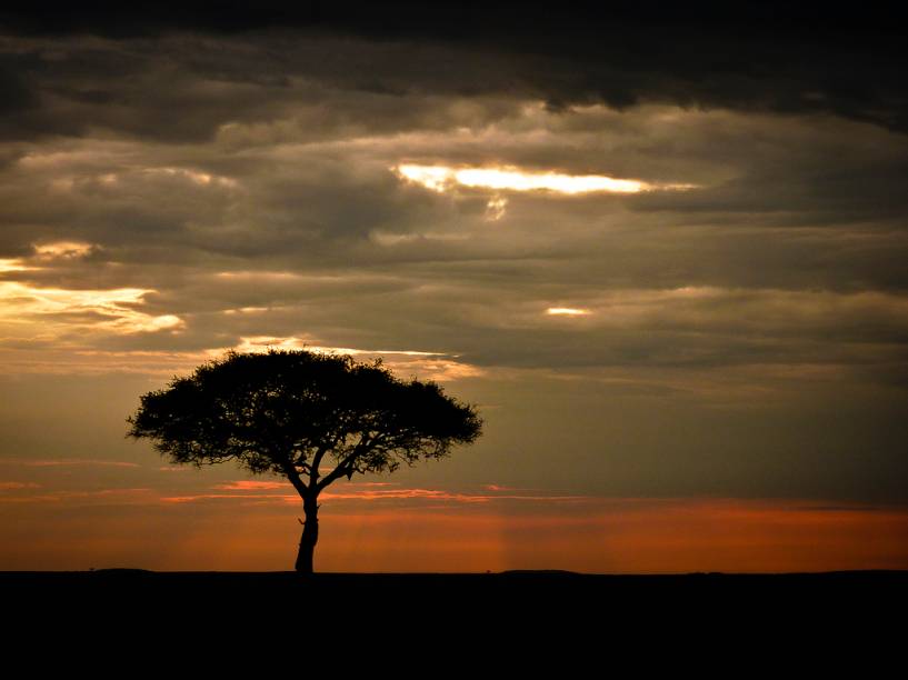 <strong>Parque Nacional Masai Mara, Quênia</strong> Não parece uma paisagem do Rei Leão? O Masai Mara é um dos destinos de safári clássicos das savanas africanas, junto a outros parques de <a href="https://viajeaqui.abril.com.br/paises/tanzania">Tanzânia </a>e <a href="https://viajeaqui.abril.com.br/paises/quenia">Quênia</a>, como o Serengeti e Tsavo. <a href="https://www.booking.com/searchresults.pt-br.html?aid=332455&lang=pt-br&sid=eedbe6de09e709d664615ac6f1b39a5d&sb=1&src=searchresults&src_elem=sb&error_url=https%3A%2F%2Fwww.booking.com%2Fsearchresults.pt-br.html%3Faid%3D332455%3Bsid%3Deedbe6de09e709d664615ac6f1b39a5d%3Bclass_interval%3D1%3Bdest_id%3D187%3Bdest_type%3Dcountry%3Bdtdisc%3D0%3Bgroup_adults%3D2%3Bgroup_children%3D0%3Binac%3D0%3Bindex_postcard%3D0%3Blabel_click%3Dundef%3Bno_rooms%3D1%3Boffset%3D0%3Bpostcard%3D0%3Braw_dest_type%3Dcountry%3Broom1%3DA%252CA%3Bsb_price_type%3Dtotal%3Bsearch_selected%3D1%3Bsrc%3Dsearchresults%3Bsrc_elem%3Dsb%3Bss%3DSenegal%3Bss_all%3D0%3Bss_raw%3DSenegal%3Bssb%3Dempty%3Bsshis%3D0%3Bssne_untouched%3DChina%26%3B&ss=Qu%C3%AAnia&ssne=Senegal&ssne_untouched=Senegal&checkin_monthday=&checkin_month=&checkin_year=&checkout_monthday=&checkout_month=&checkout_year=&no_rooms=1&group_adults=2&group_children=0&highlighted_hotels=&from_sf=1&ss_raw=Qu%C3%AAnia&ac_position=0&ac_langcode=xb&dest_id=109&dest_type=country&search_pageview_id=a5a17400ad32001d&search_selected=true&search_pageview_id=a5a17400ad32001d&ac_suggestion_list_length=3&ac_suggestion_theme_list_length=0" target="_blank" rel="noopener"><em>Busque hospedagens em Quênia no Booking.com</em></a>