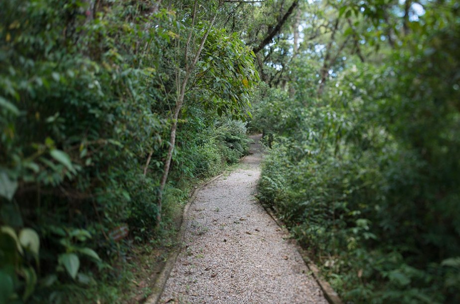 Trilha com calçamento na área verde da pousada