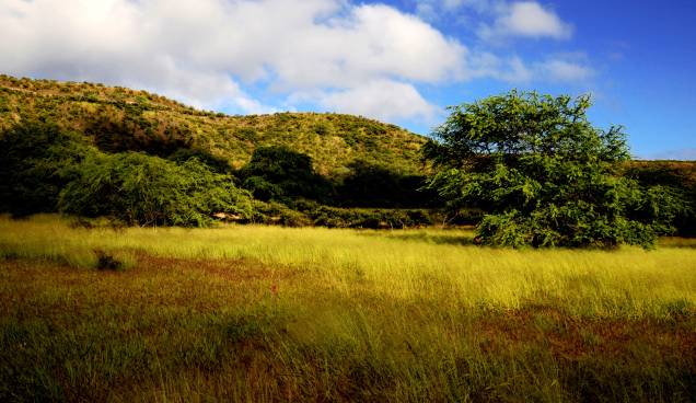 <strong>Primeiros habitantes</strong><br />Antes da chegada dos europeus, o arquipélago havia sido habitado somente por nativos polinésios, durante pelo menos 1500 anos <strong>Primeiros habitantes</strong><br />Antes da chegada dos europeus, o arquipélago havia sido habitado somente por nativos polinésios, durante pelo menos 1500 anos