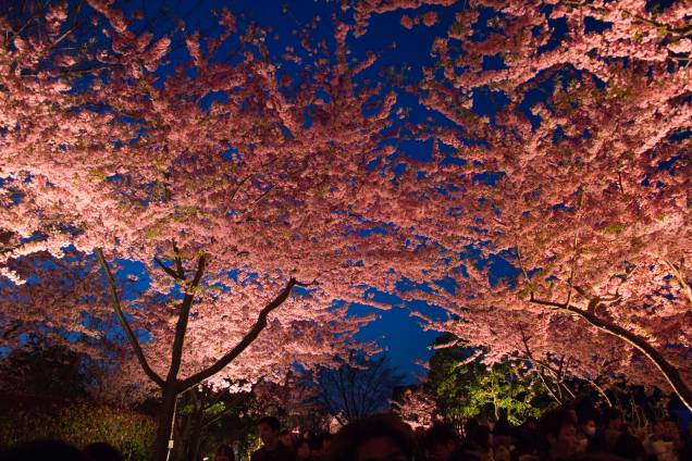 <strong>Iluminação de inverno do Parque Nabana no Sato </strong><strong>–</strong><strong> <a href="https://viajeaqui.abril.com.br/paises/japao" rel="Japão" target="_blank">Japão</a></strong>Este é o maior evento de iluminação do Japão, que une a beleza das luzes na estação mais escura do ano com o delicado equilíbrio das flores que são cultivadas no parque. O parque fica perto da cidade de Nagoya, ao sul de <a href="https://viajeaqui.abril.com.br/cidades/japao-toquio" rel="Tóquio" target="_blank">Tóquio</a> <strong>Iluminação de inverno do Parque Nabana no Sato </strong><strong>–</strong><strong> <a href="https://viajeaqui.abril.com.br/paises/japao" rel="Japão" target="_blank">Japão</a></strong>Este é o maior evento de iluminação do Japão, que une a beleza das luzes na estação mais escura do ano com o delicado equilíbrio das flores que são cultivadas no parque. O parque fica perto da cidade de Nagoya, ao sul de <a href="https://viajeaqui.abril.com.br/cidades/japao-toquio" rel="Tóquio" target="_blank">Tóquio</a>