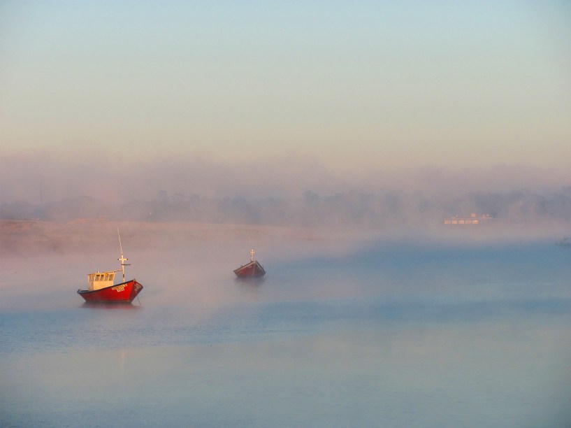 <em>Neptunia con niebla</em>, de Ney Peraza