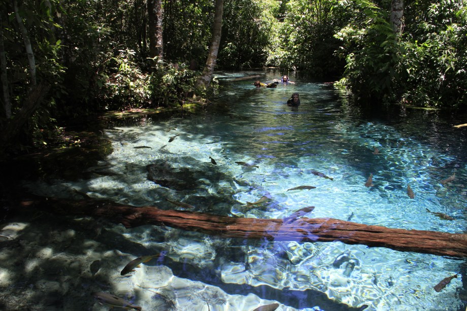 Rios cristalinos cheios de peixes, grutas e cachoeiras: Nobres, no Mato Grosso, é perfeita para quem curte o contato com a natureza - e que natureza!