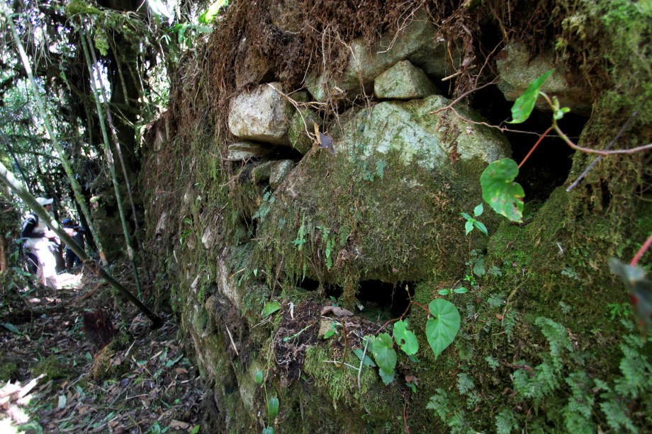 Novo trecho descoberto do Caminho Inca