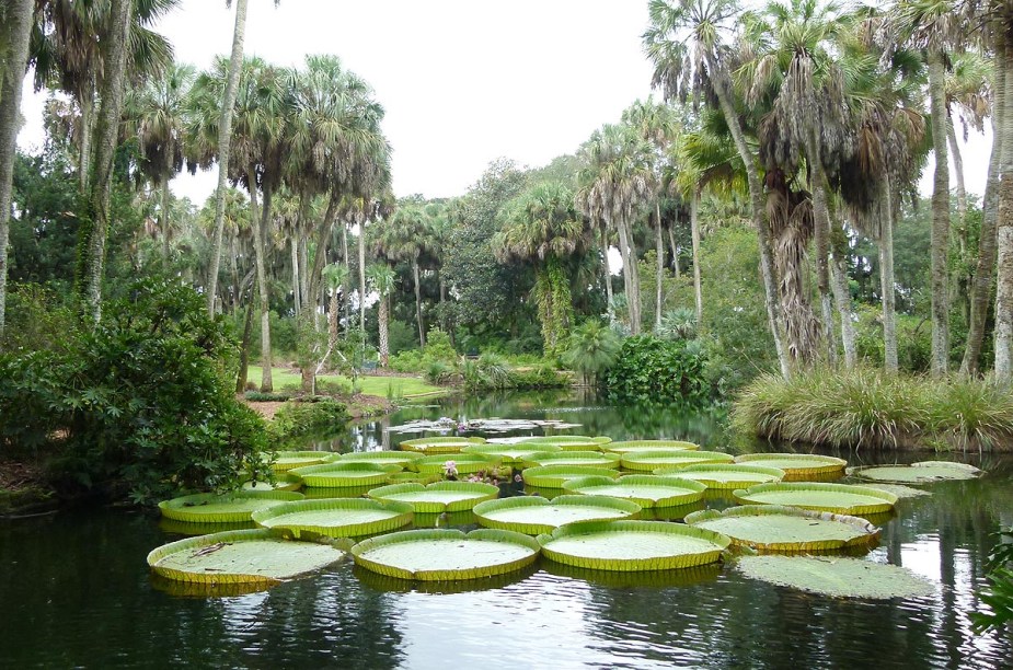 <strong>Bok Tower Gardens</strong>                                                            O jardim foi fundado em 1929 e recebe visitas - a maioria de pessoas que vivem na região - em busca de momentos de paz e meditação