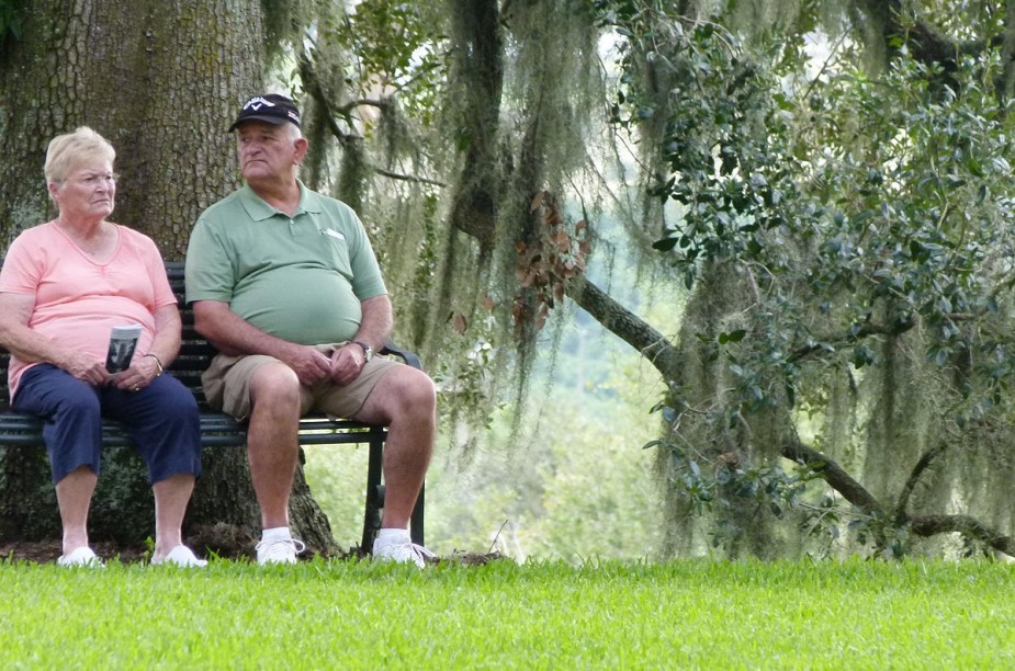 <strong>Bok Tower Gardens</strong>                                                            Famílias costumam visitar o local em busca de tranquilidade e contato com a natureza; é difícil encontrar com turistas de outros países - o que torna a Bok Tower Gardens uma legítima experiência norte-americana