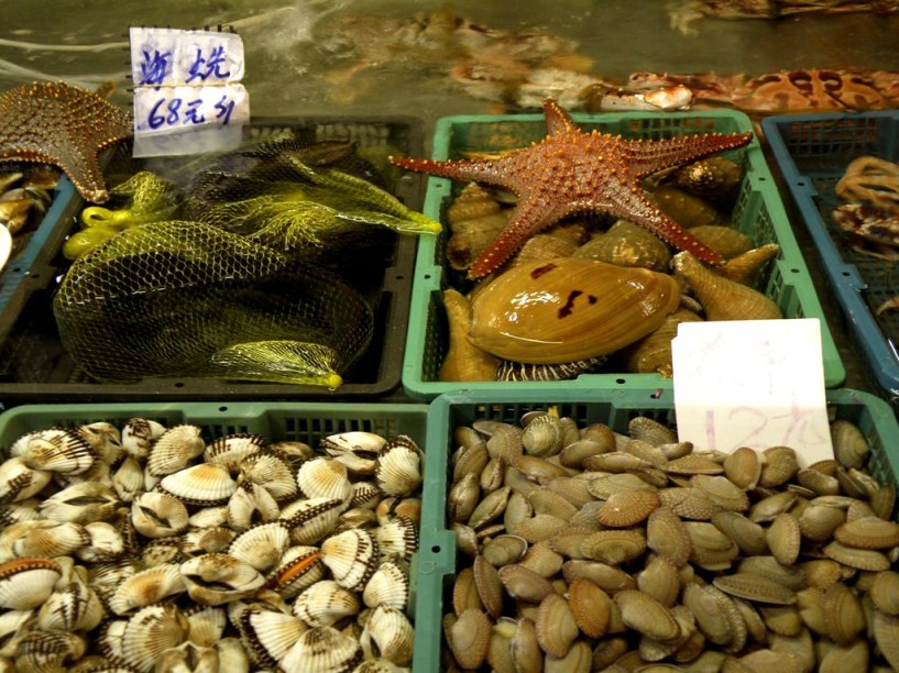 <strong>Yangshuo, China</strong> Qualquer mercado chinês é um teste para os estômagos ocidentais – e de alguns orientais, também. A visão de carcaças de pato junto a engradados com estrelas do mar ou o cheiro de pena queimada das galinhas misturado ao de mariscos são uma prova e tanto. Se misturarmos tudo isso ao aroma de pimentas em pó, aniz estrelado, canela e peixes do rio, seus olhos sairão de órbita e seus pulmões pedirão um pouco de ar fresco. É divertido, obrigatório até, mas vá sem comer nada antes. Dentro das rotas turísticas, o de Yangshuo, à sombra das fantásticas montanhas do rio Lijiang e próxima a <a href="https://viajeaqui.abril.com.br/cidades/china-guilin" target="_blank" title="Guilin" rel="noopener"><strong>Guilin</strong></a>, é um bem autêntico