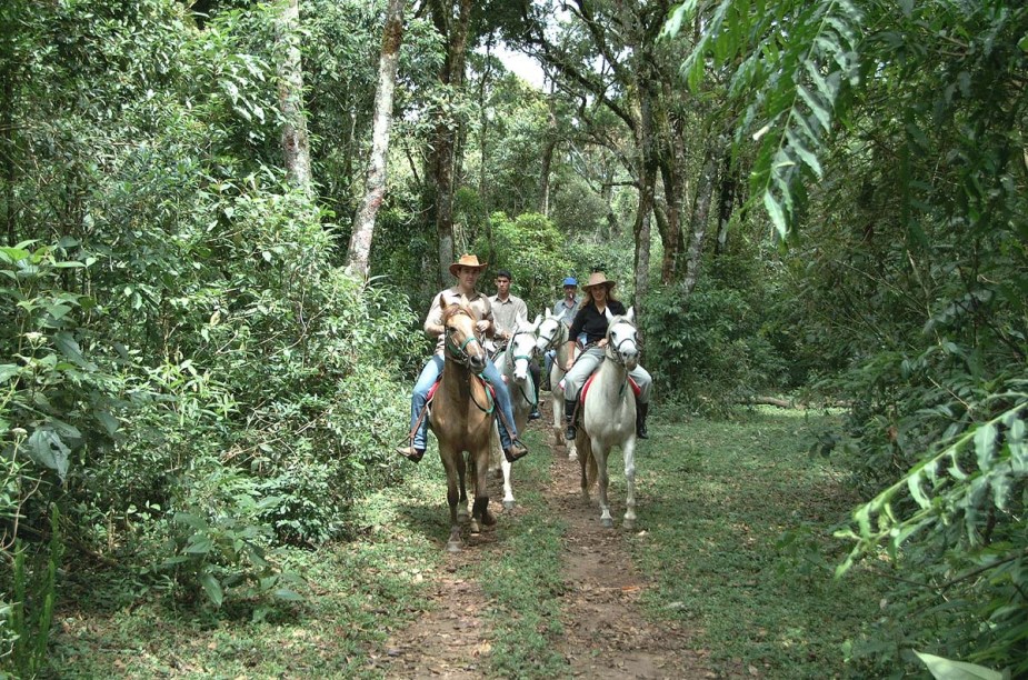 Algumas hospedagens organizam passeios a cavalo, como a Pousada dos Marchadores, que mantém um haras