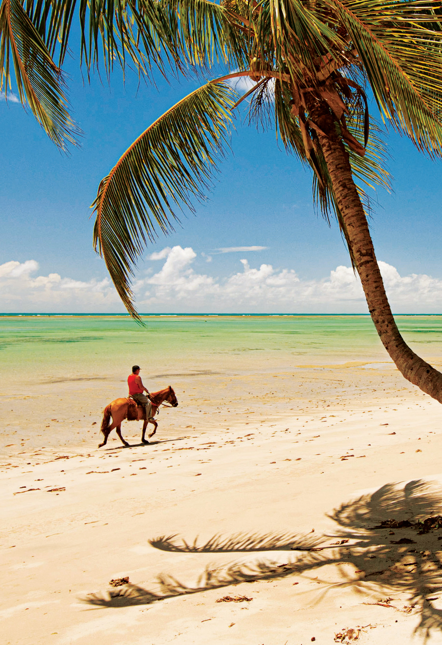 Praia Patacho, em São Miguel dos Milagres, Alagoas Praia Patacho, em São Miguel dos Milagres, Alagoas