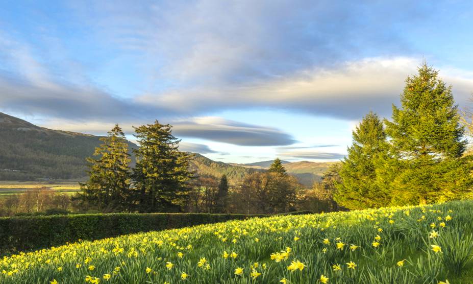 <strong>27. Penmaenpool Forest, <a href="https://viajeaqui.abril.com.br/paises/pais-de-gales" rel="País de Gales" target="_self">País de Gales</a> </strong>            A região foi originada como uma vila que funcionava como um terraço para trabalhadores rurais e incluía uma fazenda e uma estação ferroviária – tudo isso para servir à Penmaenuchaf Hall, residência de um importante empresário de Lancashire. Hoje, a floresta é permeada por trilhas para passeios de bicicleta, tendo ao seu redor cenários coloridos e muito tranquilos. Se o visitante deseja um passeio diferente, a boa pedida é explorar os resquícios da atividade militar do local, datadas do século 20.