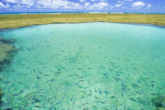 As piscinas naturais e cristalinas de Porto de Galinhas são uma das atrações do povoado pernambucano As piscinas naturais e cristalinas de Porto de Galinhas são uma das atrações do povoado pernambucano