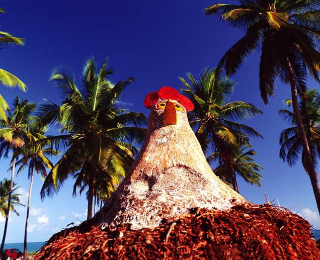 Os turistas não deixam de tirar fotos ao lado das galinhas esculpidas em tronco de coqueiro Os turistas não deixam de tirar fotos ao lado das galinhas esculpidas em tronco de coqueiro