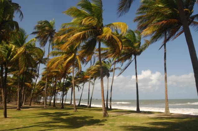 Praia Toquinho é delimitada pelo Rio Sirinhaém, que separa os municípios de Ipojuca e Tamandaré Praia Toquinho é delimitada pelo Rio Sirinhaém, que separa os municípios de Ipojuca e Tamandaré