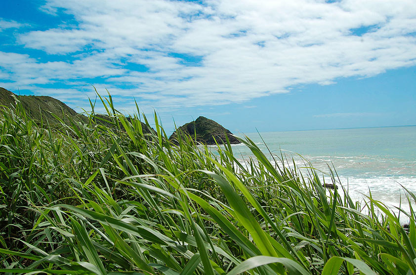 <strong>12. Praia Vermelha, Penha</strong> A faixa de areia é tão generosa quanto a área de restinga e mata nativa que a cerca. O nome da praia vem da terra avermelhada que desce o morro e tinge a areia na época das chuvas. <a href="https://www.booking.com/searchresults.pt-br.html?aid=332455&lang=pt-br&sid=eedbe6de09e709d664615ac6f1b39a5d&sb=1&src=index&src_elem=sb&error_url=https%3A%2F%2Fwww.booking.com%2Findex.pt-br.html%3Faid%3D332455%3Bsid%3Deedbe6de09e709d664615ac6f1b39a5d%3Bsb_price_type%3Dtotal%26%3B&ss=Praia+Vermelha%2C+Praia+do+Rosa%2C+Santa+Catarina%2C+Brasil&checkin_monthday=&checkin_month=&checkin_year=&checkout_monthday=&checkout_month=&checkout_year=&no_rooms=1&group_adults=2&group_children=0&from_sf=1&ss_raw=Praia+Vermelha%2C+Santa+Catarina%2C+Brasil&ac_position=0&ac_langcode=xb&dest_id=256038&dest_type=landmark&search_pageview_id=06796fc6f16d00bc&search_selected=true&search_pageview_id=06796fc6f16d00bc&ac_suggestion_list_length=5&ac_suggestion_theme_list_length=0&map=1#map_opened" target="_blank" rel="noopener"><em>Busque hospedagens na Praia Vermelha no Booking.com</em></a>