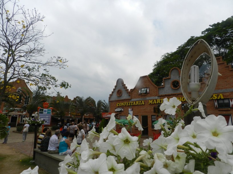 Apesar de ter cerca de 11 mil habitantes apenas, a cidade de Holambra corresponde a 50% das vendas do setor de floricultura