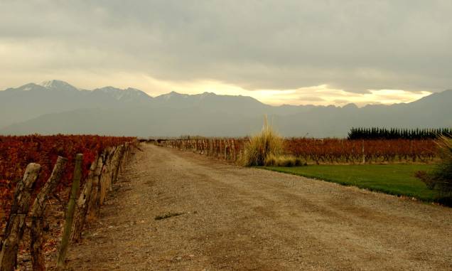 <strong><a href="https://bodegarucamalen.com/" rel="5. Ruca Malén" target="_blank">5. Ruca Malén</a> (<a href="https://viajeaqui.abril.com.br/cidades/ar-mendoza" rel="Mendoza" target="_self">Mendoza</a>, <a href="https://viajeaqui.abril.com.br/paises/argentina" rel="Argentina" target="_self">Argentina</a>) </strong> A bodega leva o nome de uma jovem mapuche (tribo indígena de regiões do <a href="https://viajeaqui.abril.com.br/paises/chile" rel="Chile" target="_self">Chile</a> e da <a href="https://viajeaqui.abril.com.br/paises/argentina" rel="Argentina" target="_self">Argentina</a>), cuja lenda revela a paixão por um deus. Localizada na região de Lujan de Cuyo, a 20 km do Centro de Mendoza, a vinícola aposta no menu degustação para surpreender seus visitantes, com cinco etapas de harmonização e uma bela visão dos parreirais. É necessário reservar o almoço com antecedência, pois a procura é grande. <strong><a href="https://bodegarucamalen.com/" rel="5. Ruca Malén" target="_blank">5. Ruca Malén</a> (<a href="https://viajeaqui.abril.com.br/cidades/ar-mendoza" rel="Mendoza" target="_self">Mendoza</a>, <a href="https://viajeaqui.abril.com.br/paises/argentina" rel="Argentina" target="_self">Argentina</a>) </strong> A bodega leva o nome de uma jovem mapuche (tribo indígena de regiões do <a href="https://viajeaqui.abril.com.br/paises/chile" rel="Chile" target="_self">Chile</a> e da <a href="https://viajeaqui.abril.com.br/paises/argentina" rel="Argentina" target="_self">Argentina</a>), cuja lenda revela a paixão por um deus. Localizada na região de Lujan de Cuyo, a 20 km do Centro de Mendoza, a vinícola aposta no menu degustação para surpreender seus visitantes, com cinco etapas de harmonização e uma bela visão dos parreirais. É necessário reservar o almoço com antecedência, pois a procura é grande.