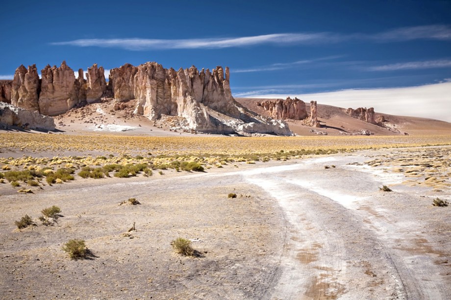 Na Reserva Nacional de Flamingos, o Salar do Tara não é tão visitado pelos grupos de turistas como outras atrações do deserto do Atacama, talvez por causa do preço dos passeios (cerca de R$ 250 por pessoa). Sorte de quem pode fazer o passeio e apreciar os flamingos, vicunhas, guanacos e as paisagens corroídas pelos ventos desta área de belas paisagens