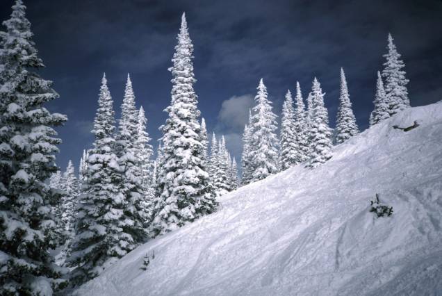 <strong>Steamboat Springs, Colorado, Estados Unidos</strong><br /> Além de ter um dos maiores resorts de esqui do Colorado, Steamboat Springs é única no estado. É autenticamente uma cidade de trabalhadores cowboys que se tornou um dos pontos de esqui mais importantes do país. Howelsen Hill é a maior área do esporte em funcionamento contínuo do Colorado. Anualmente, em fevereiro, há o Winter Carnival, quando caminhões despejam neve na rua principal da cidade para competições de skijoring (puxados por cavalos, cachorros ou veículos) e a passagem de bandas escolares que desfilam em esquis. Steamboat Ski Resort tem neve fofa e leve, além de esqui em árvores <strong>Steamboat Springs, Colorado, Estados Unidos</strong><br /> Além de ter um dos maiores resorts de esqui do Colorado, Steamboat Springs é única no estado. É autenticamente uma cidade de trabalhadores cowboys que se tornou um dos pontos de esqui mais importantes do país. Howelsen Hill é a maior área do esporte em funcionamento contínuo do Colorado. Anualmente, em fevereiro, há o Winter Carnival, quando caminhões despejam neve na rua principal da cidade para competições de skijoring (puxados por cavalos, cachorros ou veículos) e a passagem de bandas escolares que desfilam em esquis. Steamboat Ski Resort tem neve fofa e leve, além de esqui em árvores
