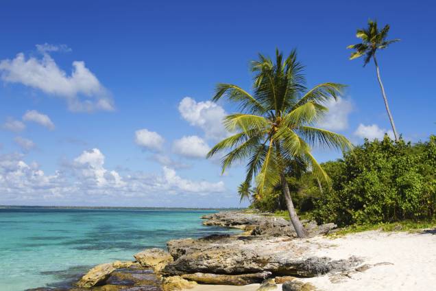 <strong><a href="https://viajeaqui.abril.com.br/cidades/republica-dominicana-punta-cana" rel="Punta Cana, República Dominicana" target="_self">Punta Cana, República Dominicana</a></strong>Nos arredores de Punta, a Ilha Saona, no Parque Nacional del Este, é ótima para passeios de catamarã. O luxo fica por conta da natureza exuberante <strong><a href="https://viajeaqui.abril.com.br/cidades/republica-dominicana-punta-cana" rel="Punta Cana, República Dominicana" target="_self">Punta Cana, República Dominicana</a></strong>Nos arredores de Punta, a Ilha Saona, no Parque Nacional del Este, é ótima para passeios de catamarã. O luxo fica por conta da natureza exuberante