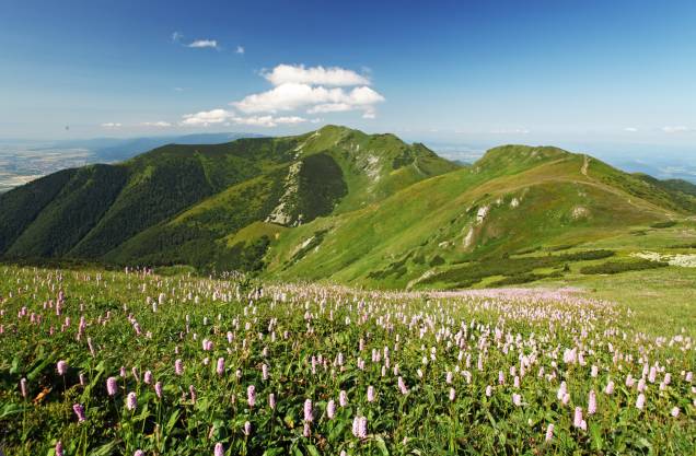 Na parte ocidental dos Cárpatos, entre as vilas de Nitrianske Pravno, Zázrivá e Strečno, e a cidade de Martin, a região montanhosa de Malá Fatra encanta com seus belos cenários Na parte ocidental dos Cárpatos, entre as vilas de Nitrianske Pravno, Zázrivá e Strečno, e a cidade de Martin, a região montanhosa de Malá Fatra encanta com seus belos cenários