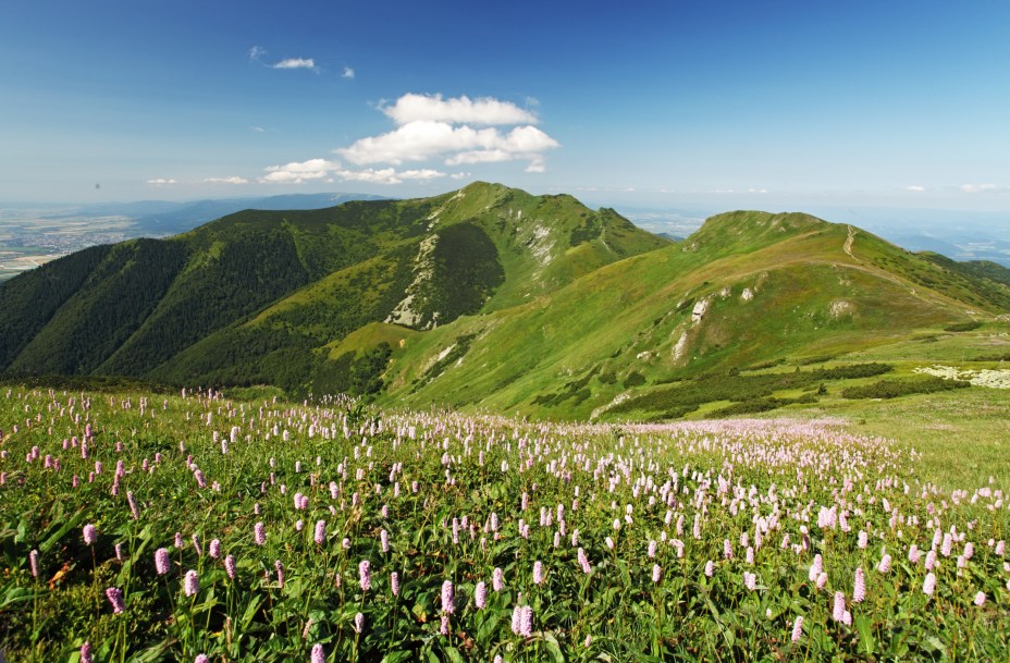 Na parte ocidental dos Cárpatos, entre as vilas de Nitrianske Pravno, Zázrivá e Strečno, e a cidade de Martin, a região montanhosa de Malá Fatra encanta com seus belos cenários 