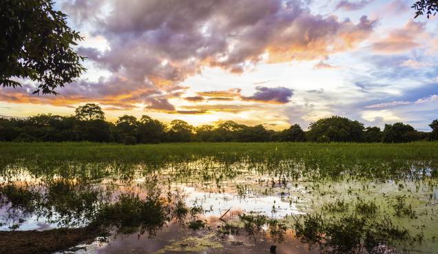 <a href="https://viajeaqui.abril.com.br/cidades/br-mt-pantanal" rel="Pantanal (MT) " target="_blank"><strong>Pantanal (MT) </strong></a>A região é uma das maiores planícies inundáveis do mundo. As opções de passeios terrestres são tão variadas quanto os aquáticos, que se transformam completamente de acordo com a época do ano, seca ou cheia. Você pode fazer os passeios em propriedades particulares ou conhecer em um barco o Parque Nacional do Pantanal Mato-Grossense<a href="https://www.booking.com/city/br/pocone.pt-br.html?aid=332455&label=viagemabril-voltapelobrasil" rel="Veja hotéis em Poconé no booking.com" target="_blank"><em>Veja hotéis em Poconé no booking.com</em></a> <a href="https://viajeaqui.abril.com.br/cidades/br-mt-pantanal" rel="Pantanal (MT) " target="_blank"><strong>Pantanal (MT) </strong></a>A região é uma das maiores planícies inundáveis do mundo. As opções de passeios terrestres são tão variadas quanto os aquáticos, que se transformam completamente de acordo com a época do ano, seca ou cheia. Você pode fazer os passeios em propriedades particulares ou conhecer em um barco o Parque Nacional do Pantanal Mato-Grossense<a href="https://www.booking.com/city/br/pocone.pt-br.html?aid=332455&label=viagemabril-voltapelobrasil" rel="Veja hotéis em Poconé no booking.com" target="_blank"><em>Veja hotéis em Poconé no booking.com</em></a>