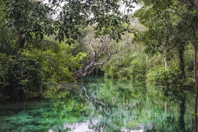 <a href="https://viajeaqui.abril.com.br/cidades/br-ms-bonito" target="_blank" rel="noopener"><strong>Bonito (MS) </strong></a> As águas cristalinas fazem de Bonito o melhor destino para mergulho fluvial no Brasil. Existem opções de passeios mais tranquilos, como as flutuações, e outros mais radicais, como boia-cross e rapel. O que impressiona é a preservação da natureza: alguns lugares parecem recém-descobertos <a href="https://www.booking.com/city/br/bonito.pt-br.html?aid=332455&label=viagemabril-voltapelobrasil" target="_blank" rel="noopener"><em>Veja hotéis em Bonito no booking.com</em></a> <a href="https://viajeaqui.abril.com.br/cidades/br-ms-bonito" target="_blank" rel="noopener"><strong>Bonito (MS) </strong></a> As águas cristalinas fazem de Bonito o melhor destino para mergulho fluvial no Brasil. Existem opções de passeios mais tranquilos, como as flutuações, e outros mais radicais, como boia-cross e rapel. O que impressiona é a preservação da natureza: alguns lugares parecem recém-descobertos <a href="https://www.booking.com/city/br/bonito.pt-br.html?aid=332455&label=viagemabril-voltapelobrasil" target="_blank" rel="noopener"><em>Veja hotéis em Bonito no booking.com</em></a>