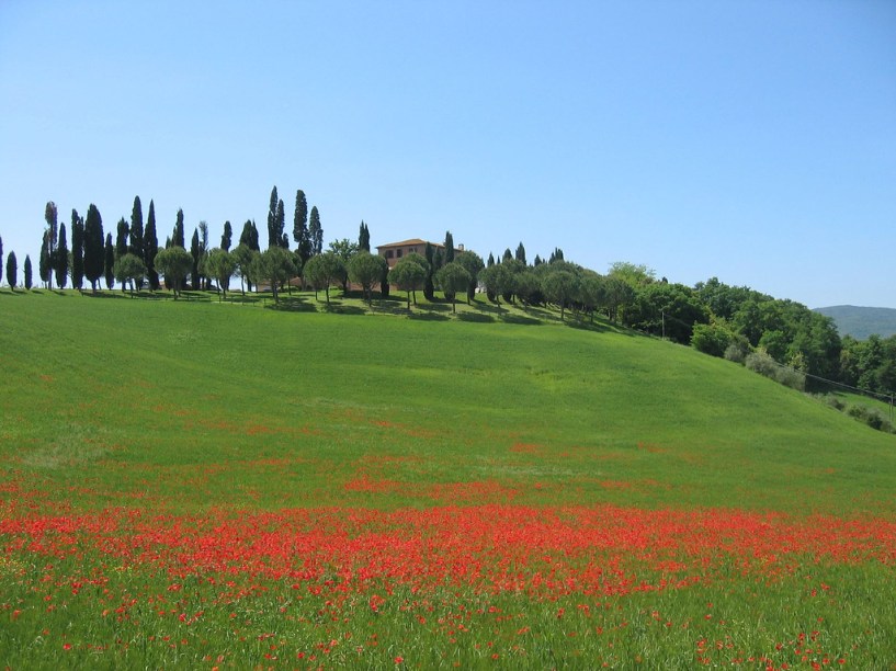 A típica paisagem toscana combina o sobe e desce de suaves colinas, entremeadas de ciprestes e campos floridos. Com muita história, rica gastronomia e patrimônios culturais, a região arrebata a todos que a visitam.    Há múltiplas formas de conhecê-la, seja no lombo de uma bicicleta ou alugando um autêntico V12 italiano. Nosso eno-roteiro é uma das formas mais deliciosas – literalmente – de explorar a região. Divirta-se!