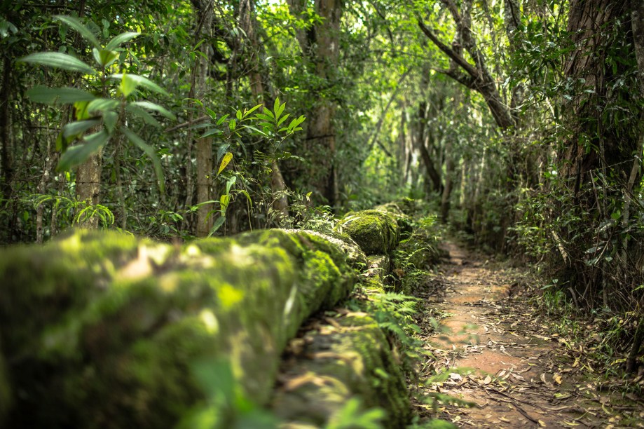 Trilha do Bosque Mãe d'Água, em Tiradentes (MG)