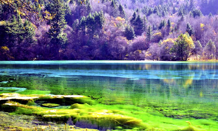 <strong>18. Vale Jiuzhaigou, <a href="https://viajeaqui.abril.com.br/paises/china" rel="China" target="_self">China</a></strong>            Águas cristalinas, espécies variadas de árvores e montanhas de 4.800 metros são apenas algumas das belezas que marcam o lugar, tombado como Patrimônio Mundial da Humanidade pela UNESCO. Além disso, é possível observar as quedas das cachoeiras e se aventurar pelos caminhos que escondem pássaros e alguns animais em extinção. A história conta que a área de 72 mil hectares foi ocupada durante séculos pelos povos tibetanos e qiangs, antes de se tornar um parque público.