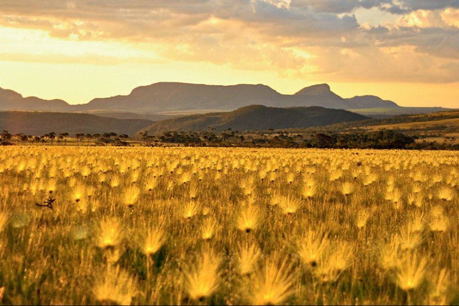 <strong><a href="https://viajeaqui.abril.com.br/cidades/br-go-chapada-dos-veadeiros" rel="Chapada dos Veadeiros -">Chapada dos Veadeiros -</a> QUATRO NOITES EM ALTO PARAÍSO</strong>        4 noites na econômica <a href="https://www.recantodagrandepaz.com.br/" rel="Pousada Recanto da Grande Paz" target="_blank">Pousada Recanto da Grande Paz</a>, com passeio ao Vale da Lua. Em 23/8.        <strong>Quem leva:</strong> <a href="https://cvc.com.br" rel="CVC" target="_blank">CVC</a> (3003-9282)        <strong>Quanto:</strong> desde R$ 1 488