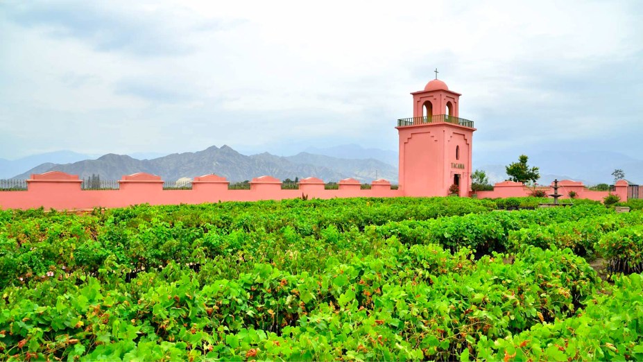 Com pouco mais de 240 mil habitantes, Ica é considerada como um grande centro de consumo de vinhos no país - uma prova viva de que vinhos da América Latina não se restringem apenas a <a href="https://viajeaqui.abril.com.br/paises/chile" target="_blank">Chile</a> e <a href="https://viajeaqui.abril.com.br/paises/argentina" target="_blank">Argentina</a>, mas também ao <a href="https://viajeaqui.abril.com.br/paises/brasil" target="_blank">Brasil</a>, <a href="https://viajeaqui.abril.com.br/paises/uruguai" target="_blank">Uruguai</a> e <a href="https://viajeaqui.abril.com.br/paises/peru" target="_blank">Peru</a>. Localizada a 400 metros acima do nível do mar, a Viña Tacama possui vinhedos que totalizam uma área de 200 hectares de extensão e oferece um passeio guiado de trinta minutos. Os cenários de montanhas ao seu redor contribuem para o impacto visual do local