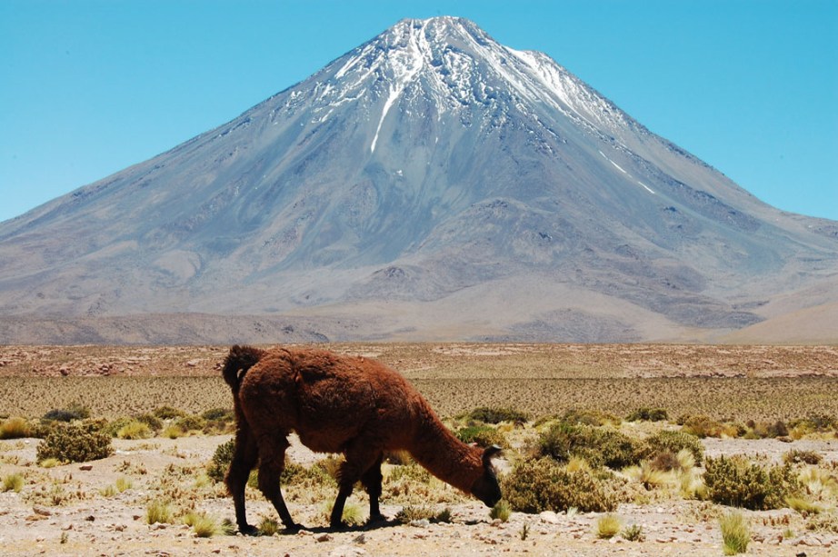 <strong>LUXO COM <a href="https://viajeaqui.abril.com.br/cidades/ar-patagonia" rel="PATAGÔNIA" target="_self">PATAGÔNIA</a> </strong>Da aridez surreal do deserto à exuberância dos glaciares, fiordes, montanhas nevadas e campos que só florescem nesta época do ano: são três noites no <a href="https://viajeaqui.abril.com.br/cidades/chile-san-pedro-de-atacama" rel="Atacama" target="_self">Atacama</a> e quatro na Patagônia, em hotéis cinco-estrelas da rede <a href="https://tierrahotels.com" rel="Tierra" target="_blank">Tierra</a>, com pensão completa, open bar e saídas diárias para explorações, mais duas noites no <a href="https://bit.ly/r_tz" rel="Ritz" target="_blank">Ritz</a> de <a href="https://viajeaqui.abril.com.br/cidades/chile-santiago" rel="Santiago" target="_self">Santiago</a>.<strong>QUANDO:</strong> Até dezembro<strong>QUEM LEVA:</strong> A <a href="https://bit.ly/p_nt" rel="Interpoint" target="_blank">Interpoint</a><strong>QUANTO: </strong>US$ 5 355 (sem aéreo)