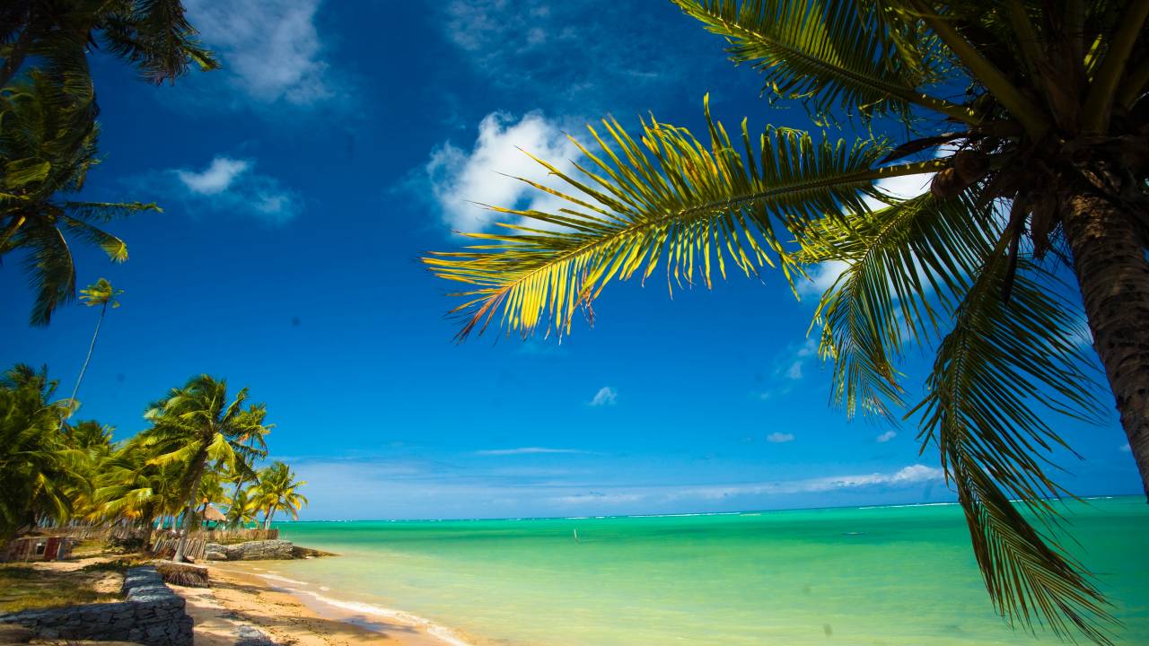 Praia Patacho, São Miguel dos Milagres, Alagoas