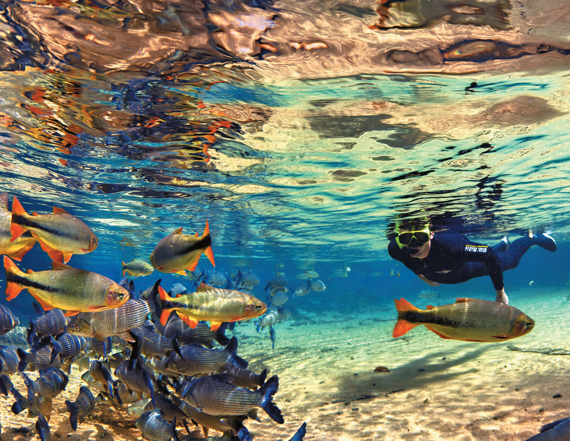 Rio da Prata, em Bonito, Mato Grosso do Sul