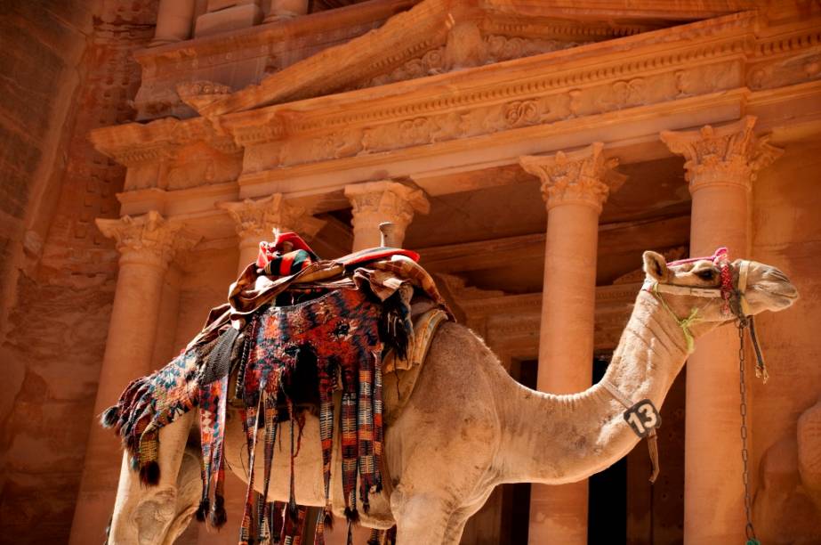 Dromedários foram fundamentais nas caravanas comerciais dos nabateus. Hoje, no entanto, apesar de ainda serem importantes para os povos nômades, sua função na área de Petra está mais restrita a alegrar turistas com boas fotos e passeios