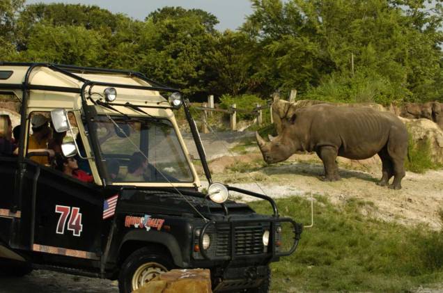Jipe Land Rover durante safári do Rhino Rally, atração do parque Busch Gardens, em Tampa Bay Jipe Land Rover durante safári do Rhino Rally, atração do parque Busch Gardens, em Tampa Bay