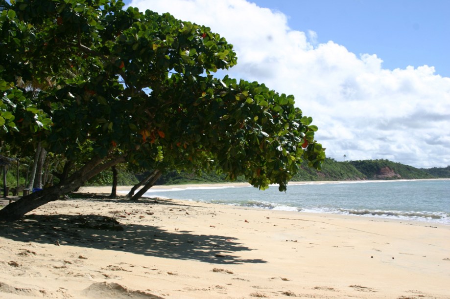 A beleza da Praia do Satu compensa o difícil acesso ao local. Para chegar à praia é preciso cruzar o Rio Caraíva de barco e caminhar pela orla por cerca de uma hora