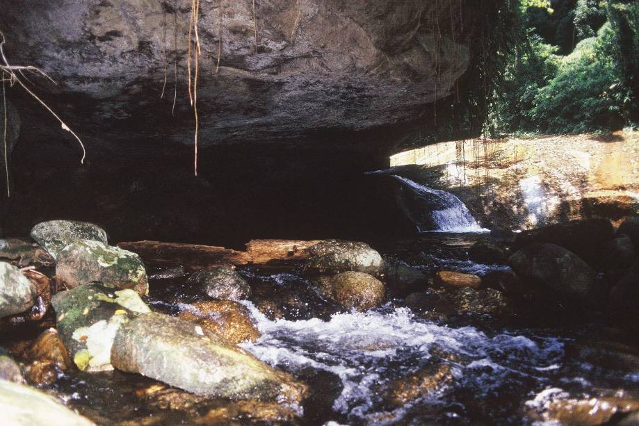 Tarefa difícil é eleger a melhor cachoeira de <a href="https://gutenberg.viagemeturismo.abril.com.br/cidades/ilhabela/" target="_blank">Ilhabela</a>. A mais famosa é a <a href="https://gutenberg.viagemeturismo.abril.com.br/atracao/cachoeira-da-toca/" target="_blank">Cachoeira da Toca</a>, que diverte crianças e adultos com seu extenso tobogã natural. Há quem afirme que o óleo oferecido como repelente para os borrachudos é um potencializador ideal para que a descida pelo tobogã natural seja "com emoção". O nome da cachoeira vem de uma gruta em formato de toca que fica à beira da piscina natural.