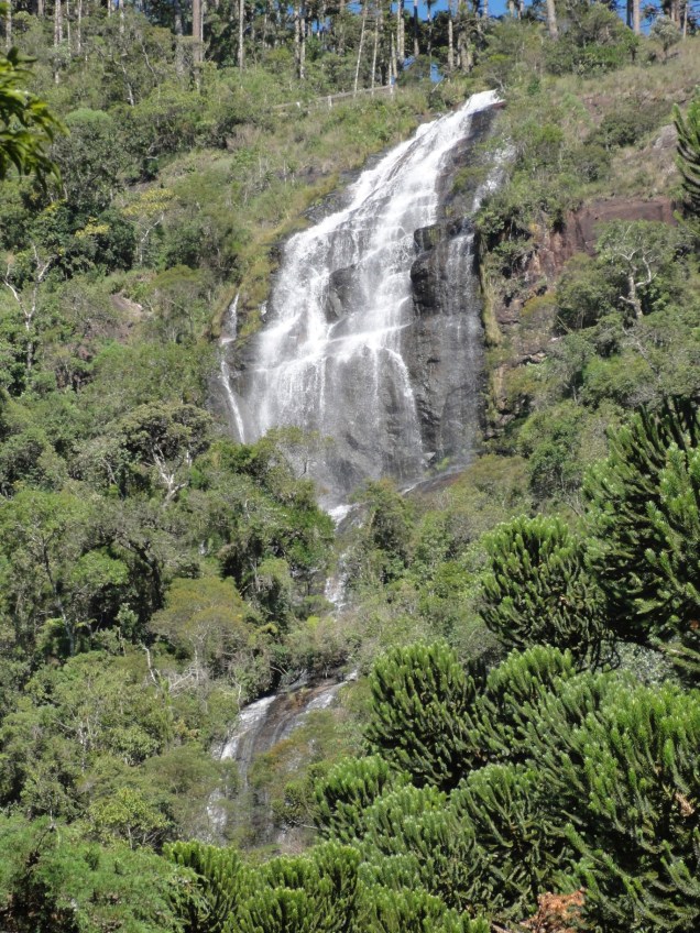 Mata virgem, pouca movimentação e o som dos passarinhos acompanham a vista da extensa Cachoeira do Toldi. O acesso ao topo requer tempo e algum preparo físico. Mas quem está no trecho entre <a href="https://gutenberg.viagemeturismo.abril.com.br/cidades/campos-do-jordao-2/" target="_blank">Campos do Jordão</a> e <a href="https://gutenberg.viagemeturismo.abril.com.br/cidades/sao-bento-do-sapucai/" target="_blank">São Bento do Sapucaí</a> ou está a caminho da <a href="https://gutenberg.viagemeturismo.abril.com.br/atracao/pedra-do-bau/" target="_blank">Pedra do Baú</a> pode fazer uma parada para conferi-la do mirante