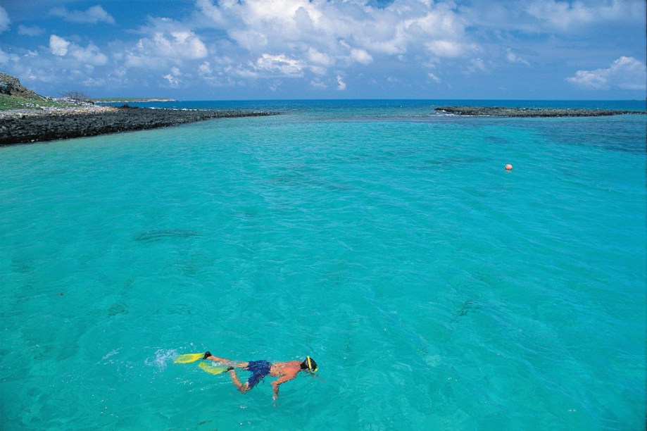 Mergulho no Parque Nacional Marinho de Abrolhos, na Bahia