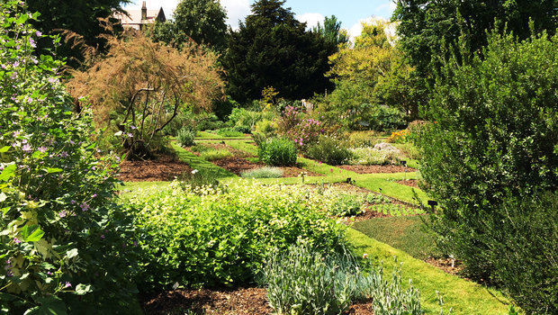 chelsea-physic-garden-londres-reino-unido.jpeg