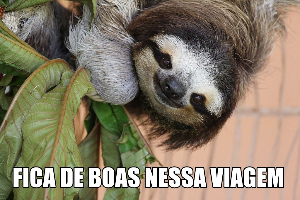 de-boas