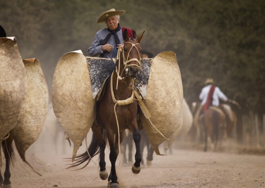 Desfile Gaúcho em Salta