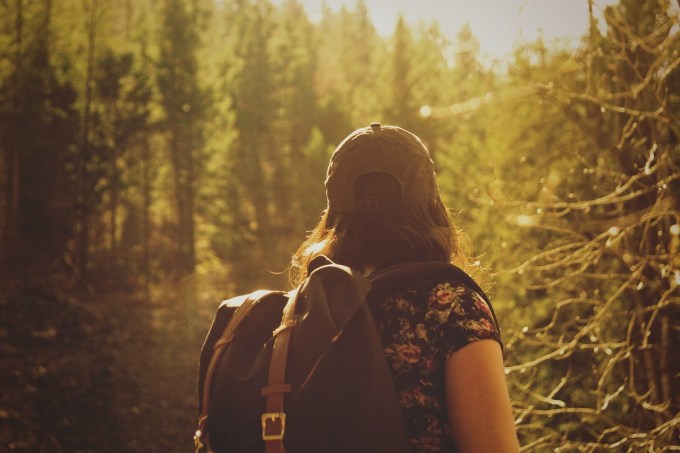 Mulher de costas e boné com mochila caminhando em uma floresta de coníferas com o sol lateral