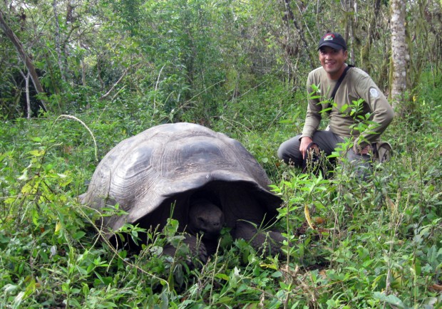 Tartaruga-gigante-de-galápagos