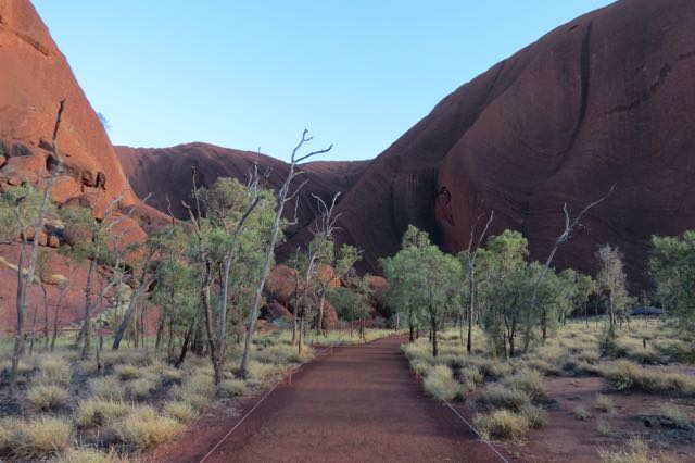 As trilhas de Uluru têm este jeitão: planas e fáceis. Alugar uma bici é uma ótima ideia
